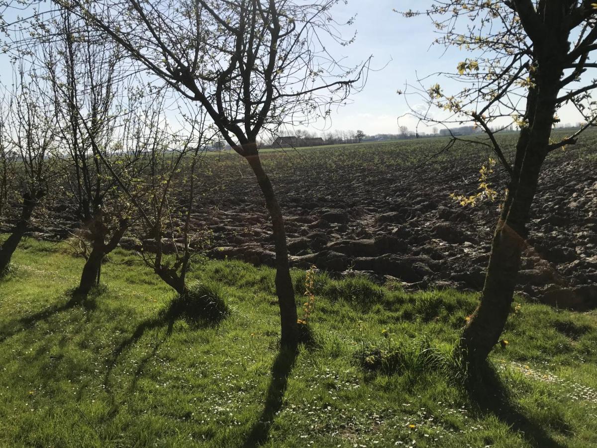 Dijkhuisje Zeeland Waterlandkerkje Εξωτερικό φωτογραφία