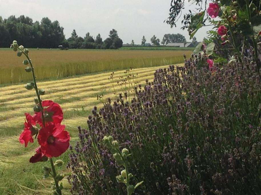 Dijkhuisje Zeeland Waterlandkerkje Εξωτερικό φωτογραφία
