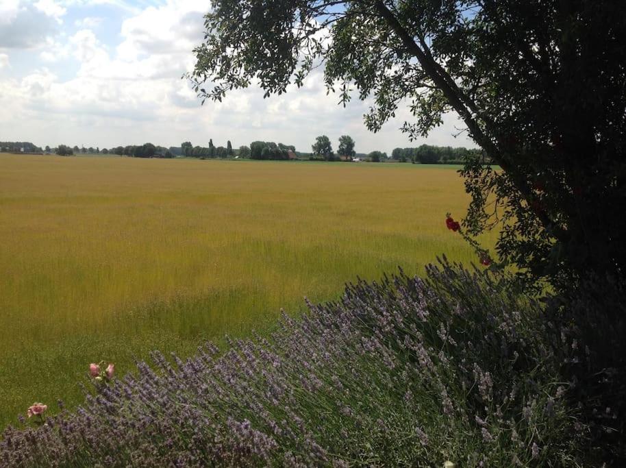 Dijkhuisje Zeeland Waterlandkerkje Εξωτερικό φωτογραφία