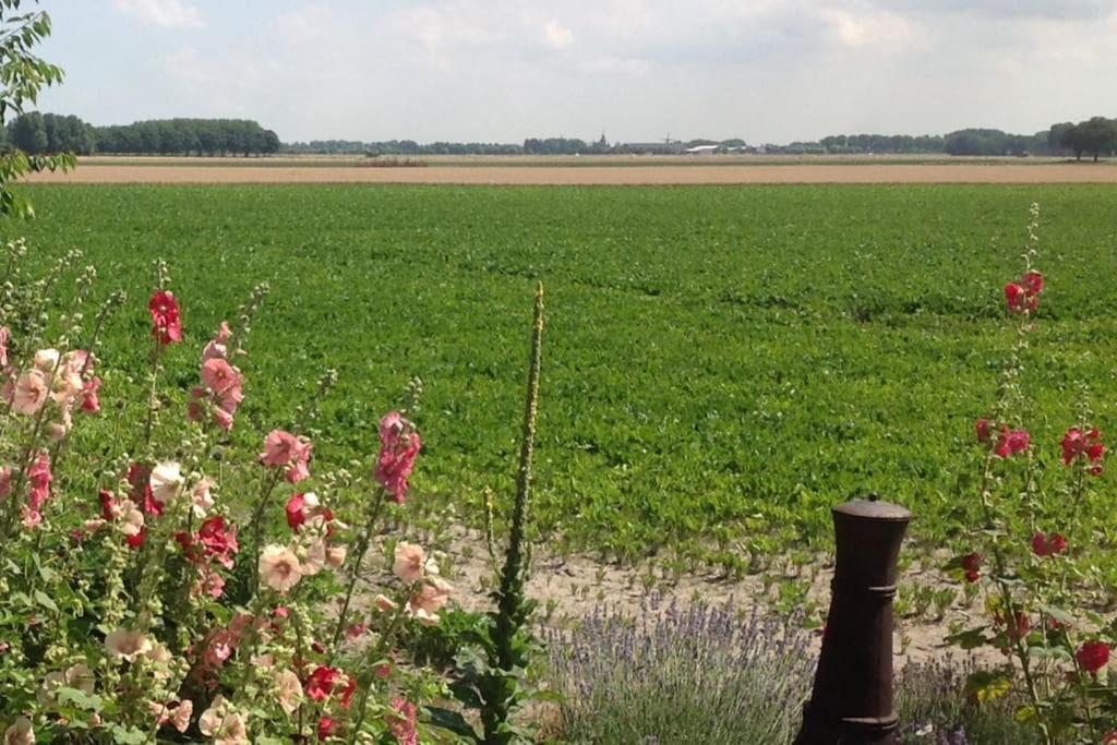 Dijkhuisje Zeeland Waterlandkerkje Εξωτερικό φωτογραφία